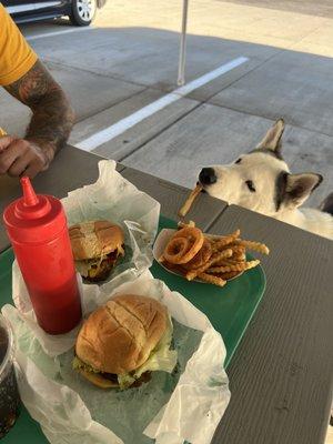 Queen burger and cheese curd burger