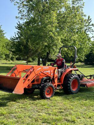 Lizard Lawn & Tree Care