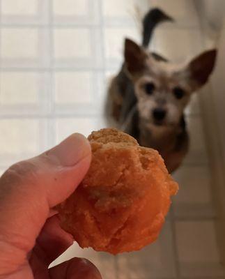 Bon Dance Time- 8/11 &8/12, 2023. Andagi!