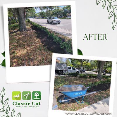 Classic Cut Lawn Care Services