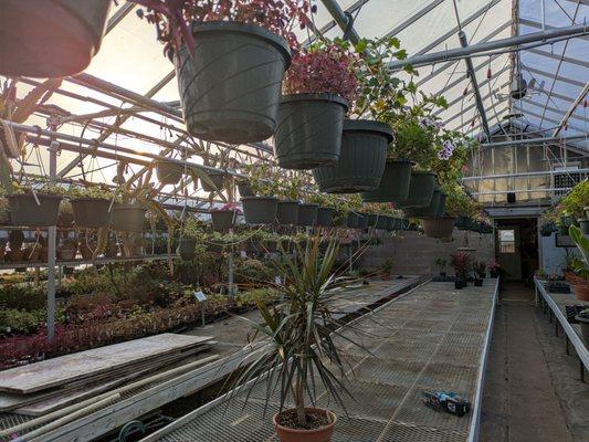 Erickson's Greenhouse