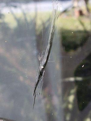 Top of the Line Mobile Glass Tinting