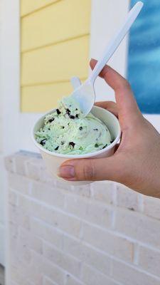 Coffee & Cream Cabana