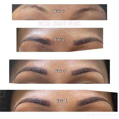 Velvet Vanity Brow Bar
