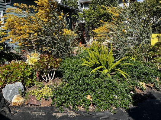 Wave Hill Landscaping and Irrigation