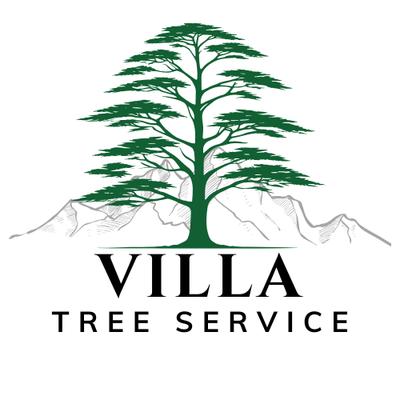 Villa Tree Service
