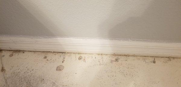 Drywizard Restoration