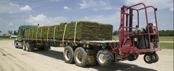 Turf Masters Sod Farms