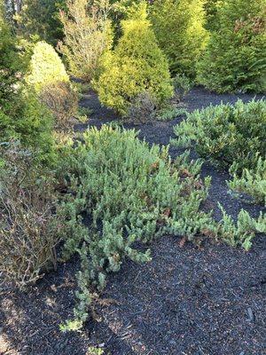 Jehoshaphat Landscaping