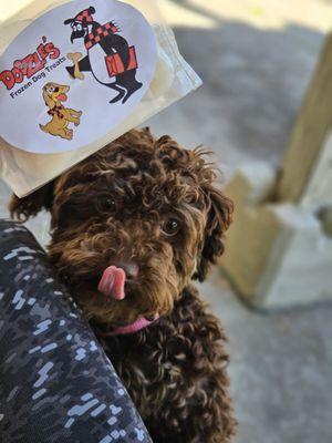 Doozles Frozen Custard