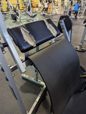 LA Fitness