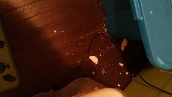 Plaster that fell on the floor FROM CEILING NOT FIXED. Swept several times. Gave up.