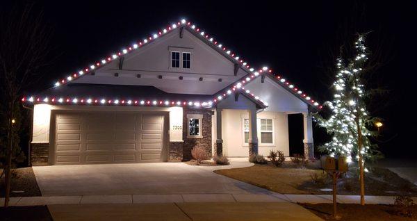 Johnny Christmas Lights
Candy Cane