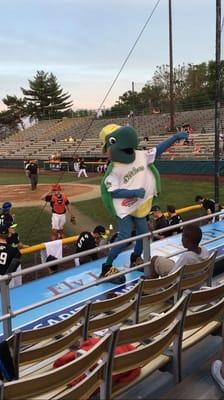 Robin Roberts Stadium