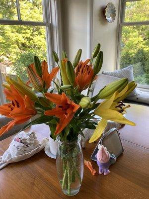 Bert's Red Apple Market