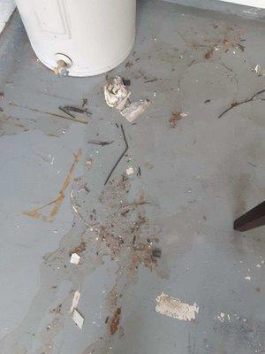 Dina's White Glove Cleaning