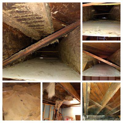 Cleaned all ductwork