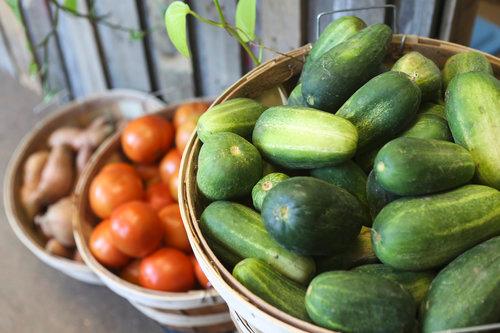 Secret Garden Garden Shop and Learning Center