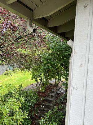 Lee Best Painting Co