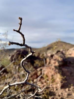 Vietnam Veterans Memorial