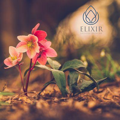 Ventura Acupuncture: Elixir Lifestyle Medicine makes your path to better health easier to travel...naturally.