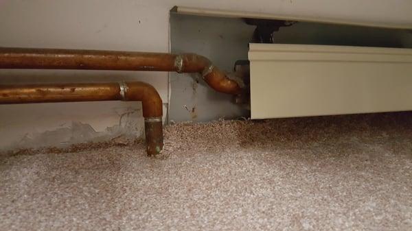 Luna Flooring installation. Frayed and loose edges.