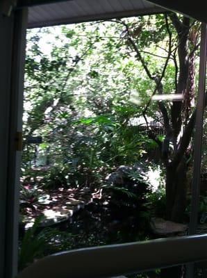 Garden fountain view from the rooms. If you're gonna have dental work done, this makes it much more pleasant.