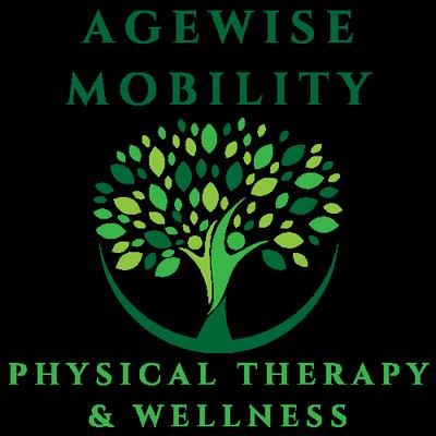 Age Wise Mobility