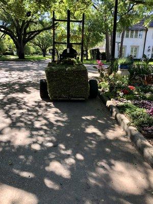 DrewGreen Lawn & Landscape