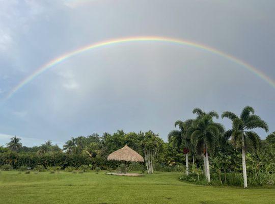 Come relax under a Chiki Hut on our new connected property to the back of the farm. A place to unwind from a busy week.