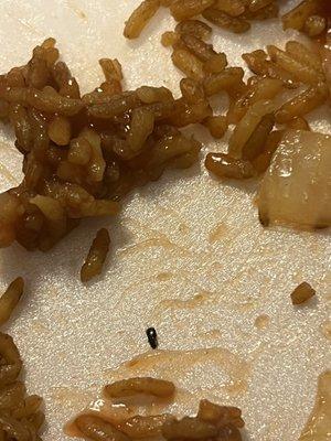 There bugs in the shrimp fried rice that i got this makes me sick i can't believe this !