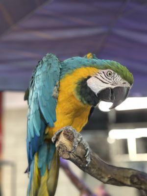 Menos Tires & Wheels