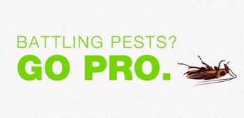 Virge Pest Pro
