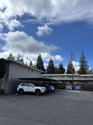 Walnut Creek Apartments