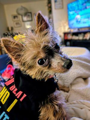 Mel’s Custom Services