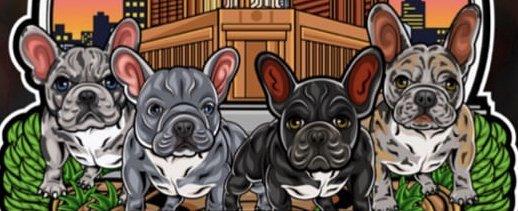 GetitGotit Frenchies