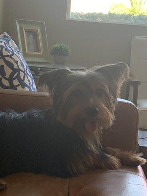 Aaron The Plug Master