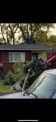 Michael The Tree Cutter Service