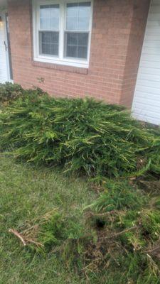 R&R Landscaping and Services