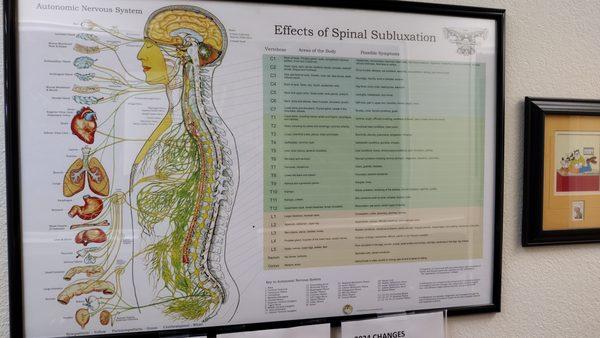 DeMent Family Chiropractic