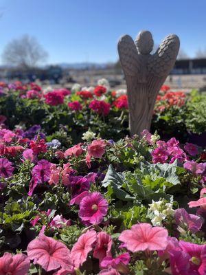 O Toole’s Garden Center