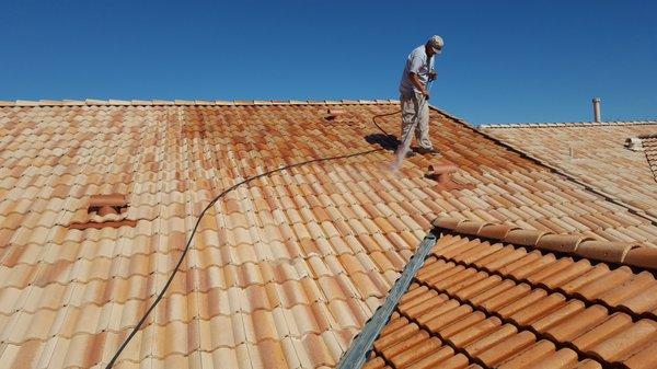 Tile Roof Cleansing