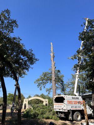 Sullins Tree Service