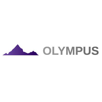Olympus Computer Services