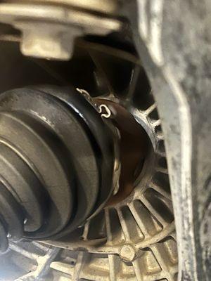 Bear Alignment and Brake