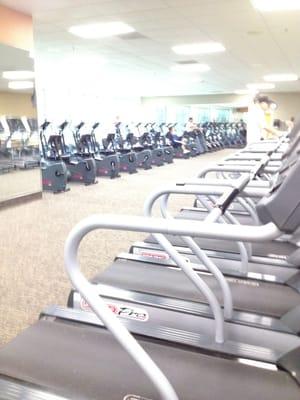 Yep, that all the cardio equipment, which usually has 5 machines down for "maintenance"