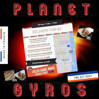 Planet Chic Gyros