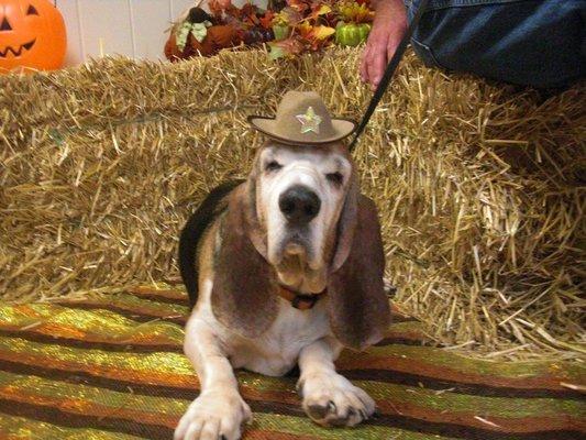 Animal Clinic of Beaver Dam