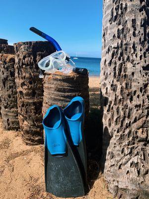Snorkel Gear Rentals