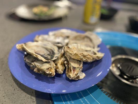 Oysters!!